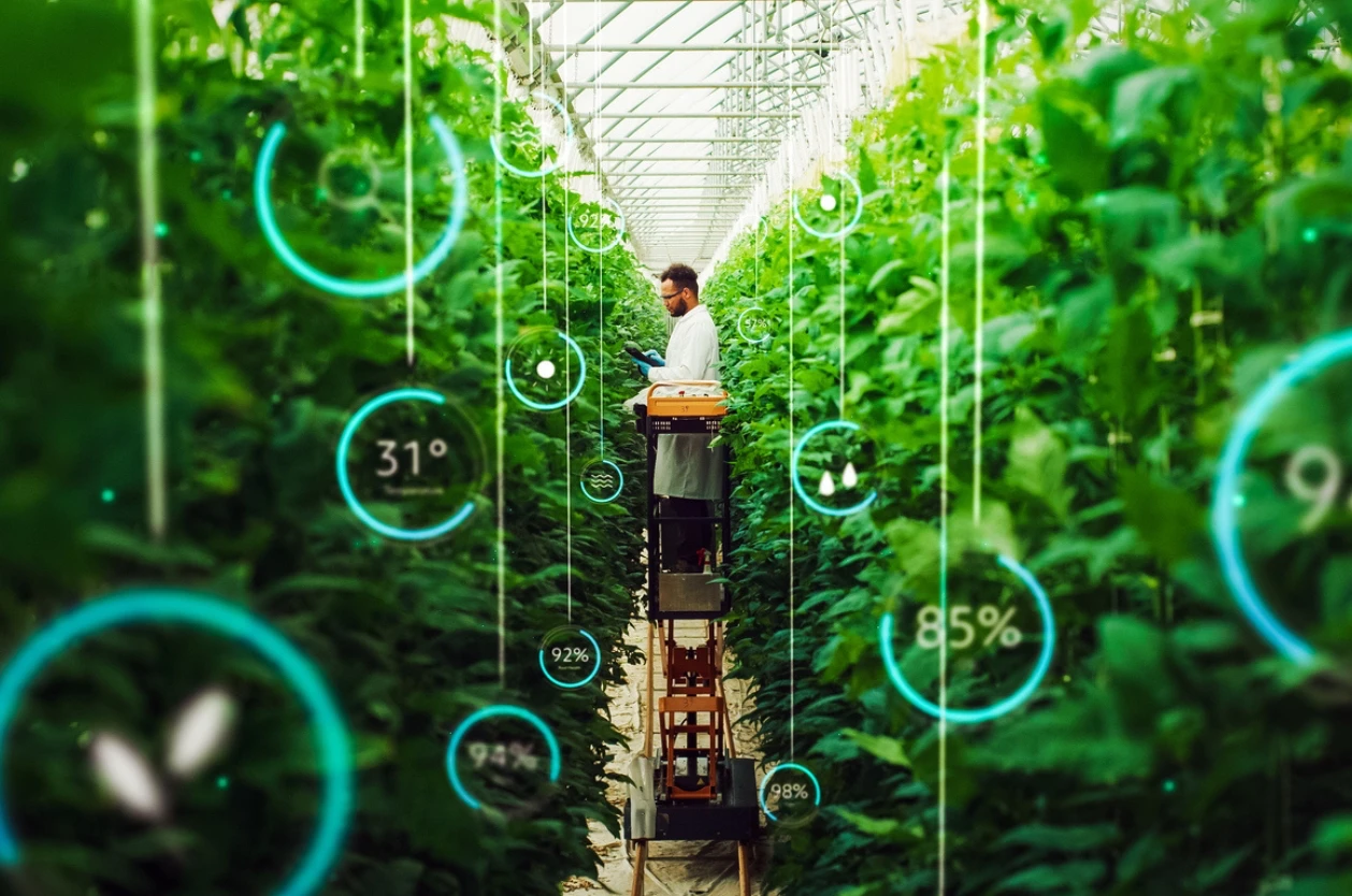 Stockfoto für technologische Vorteile im Gewächshaus